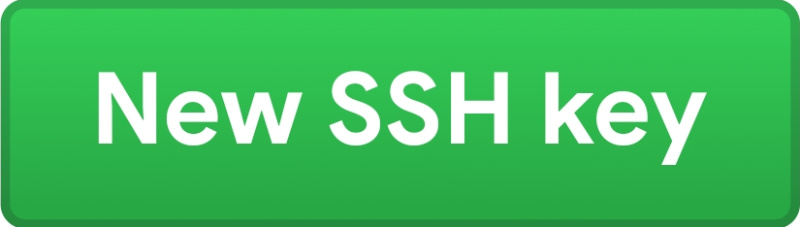 new SSH key button